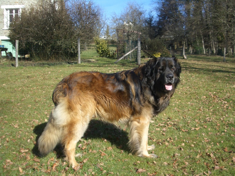 CH. kesyra Barolo of Heidamy dit